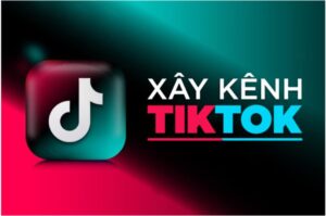 Dịch vụ Tik Tok trọn gói chất lượng và uy tín 2022