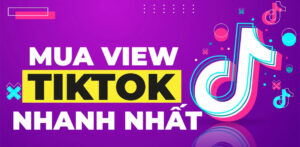 Mua view Tik Tok giá rẻ, view thật