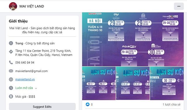 Hiện trạng của Mai Việt Land khi Digimat mới nhận dịch vụ quảng cáo Facebook